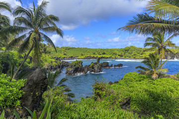 Fototapeta na wymiar Black Sand Beach State Park on the Hana Road, Maui, Hawaii