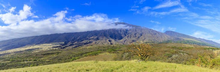Haleakala back road in Maui, Hawaii