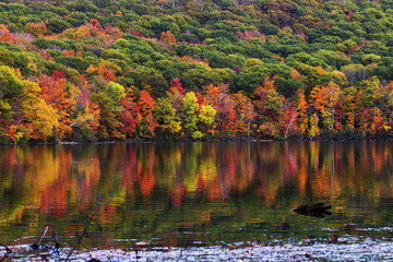 Fall colors in Quebec, Canada