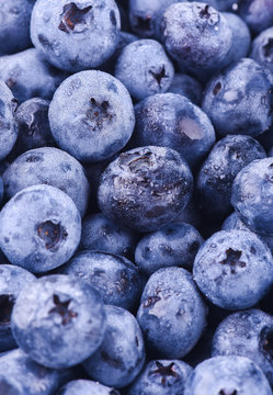 Freshly picked blueberries with drops of dew. Blueberries background