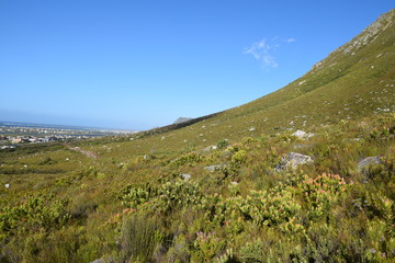 Wanderung durch die Berge bei Bettys Bay