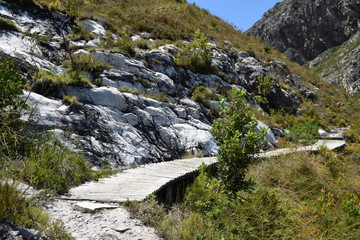 Wandern in der Fynbos Landschaft um Bettys Bay, Südafrika