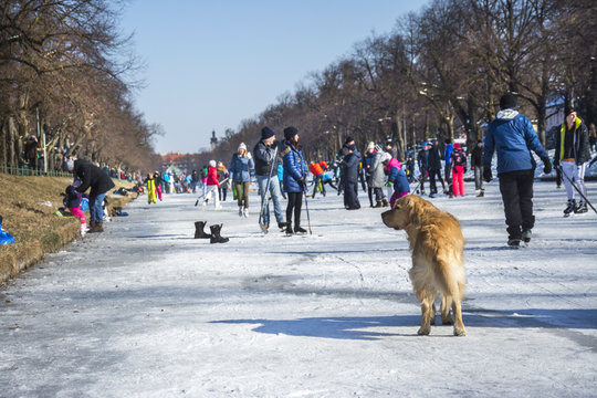 Winterspass an Nymphenburger Schlosskanal