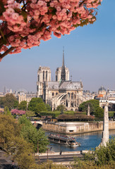 Fototapeta na wymiar Paris, Notre Dame cathedral with boat on Seine, France