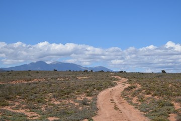 geschwungener Weg durch die kleinen Karoo