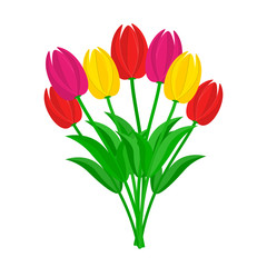 Bouquet of colorful tulips. Vector illustration.