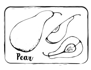 Fruit sketch black and white fruit sketch hand drawing isolated 