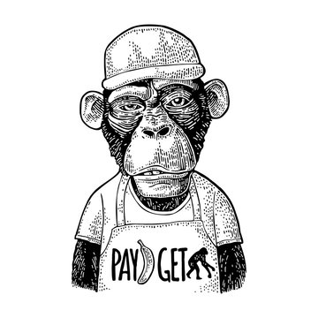 Monkeys fast food worker. Vintage black engraving for t-shirt