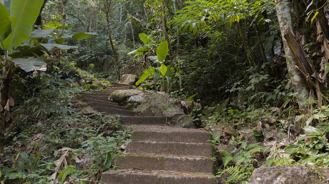 Escadas da Natureza.
