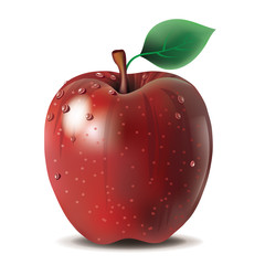 Juicy red apple with water droplets. EPS10 vector illustration.