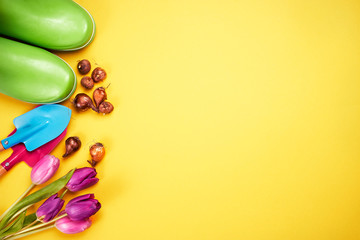 Top view of gardening stuff on yellow background