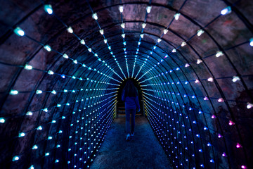 Light Tunnel at New Plymouth Park