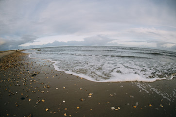 seashore with sand waves clouds shell