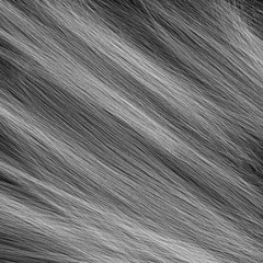 Fototapeta premium Grey Hair Texture For Background. grey hair background texture