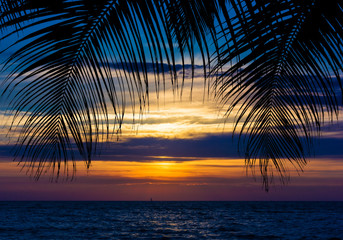 Naklejka na ściany i meble palm trees silhouette on sunset tropical beach