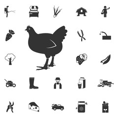 a hen icon. Element of farming and garden icons. Premium quality graphic design icon. Signs, outline symbols collection icon for websites, web design, mobile app