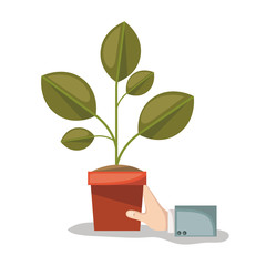 plant pot and hand in white background vector illustration