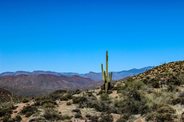 Four Peaks Wilderness