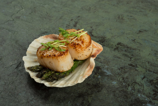Beautifully prepared Scallops served with asparagus in a shell on slate