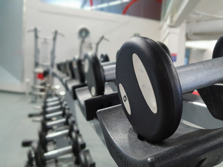 Fototapeta na wymiar Exercise weights on a rack