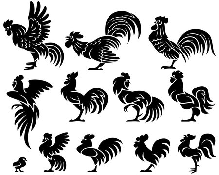 A set of illustrations of a Chinese rooster in profile. Isolated on a white background.