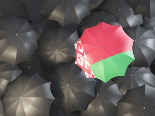 Umbrella with flag of belarus
