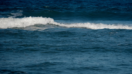 Waves in the ocean / An ocean is a body of saline water that composes much of a planet's hydrosphere. 