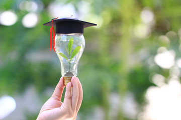 Woman hand holding green tree growing in light bulb with graduates hat on natural green background,...