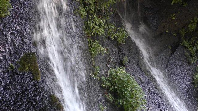 陽目渓谷の岩壁を落ちる湧水