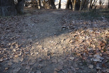 Landscapes of The Pacific Northwest, Washington State