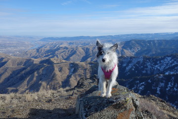 Landscapes of The Pacific Northwest, Washington State