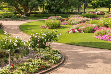Obraz premium floral display in City Botanic Gardens in Brisbane, Australia