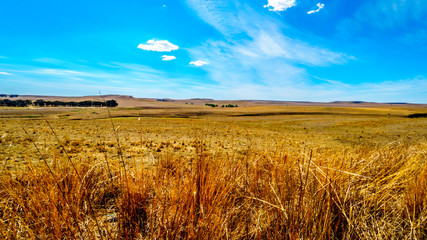 The wide open farmland and distant mountains along the N3 between Warden and Villiers in the Free State province in South Africa