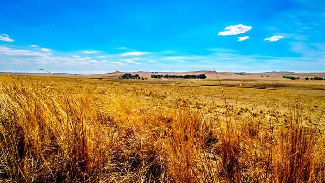 The wide open farmland and distant mountains along the N3 between Warden and Villiers in the Free State province in South Africa