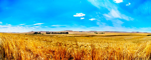 Fototapeta premium Panorama rozległych terenów uprawnych i odległych gór wzdłuż N3 między Warden i Villiers w prowincji Wolne Państwo w RPA