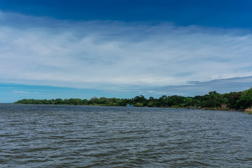 lake surrounded by forest and grey sky