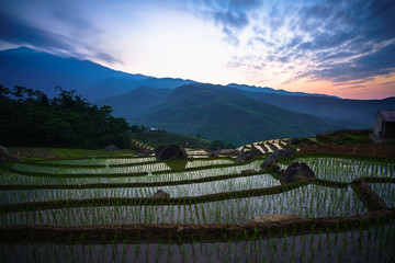 Fototapeta na wymiar Terraced rice field in morning in water season, the time before starting grow rice in Y Ty, Lao Cai province, Vietnam