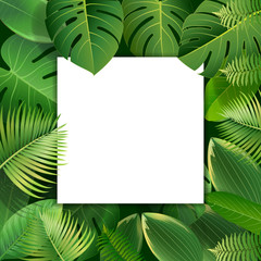 Fototapeta na wymiar Bright tropical background with jungle plants. Exotic pattern with tropical leaves.