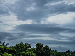 Obraz premium dark cloud over the tree and it maybe rain