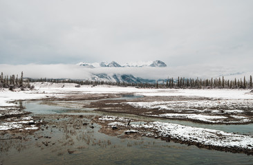 A moody morning on the banks of the Athabasca River in Jasper National Park