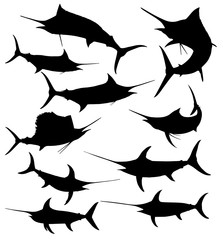 Obraz premium Fish Silhouettes