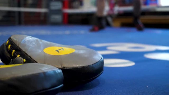 thai Boxing Mitt Training Target Focus Punch Pad Glove on canvas ring in gym or camp. Boxing gloves in the ring. Boxing gloves in the ring