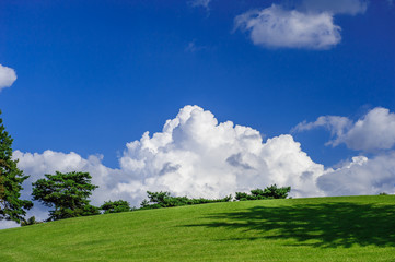 Sky, Cloud and Summer