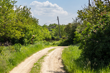 summer landscape with road in a village in Russia. Sunny summer day in the countryside