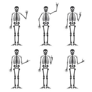 Skeleton hand gestures set: ok, finger up, finger down, fist, middle finger, Rock n roll horns, clapping palms and other emoji. Human skeleton posing isolated on white background illustration.