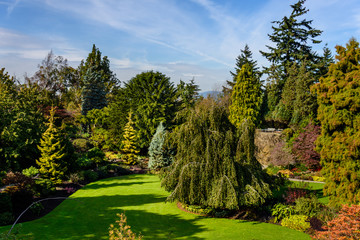  arboretum with colorful trees and bushes, a green lawn