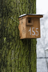 Wooden bird box on tree trunk.