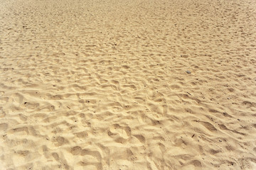 Sea. Tropical Paradise.
