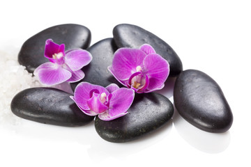 zen stone and orchid. spa concept