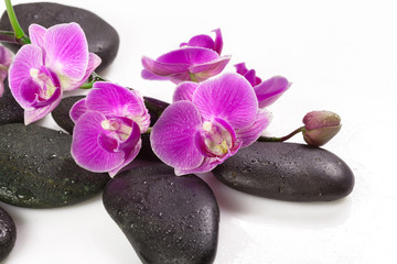 Naklejka na ściany i meble zen stone and orchid. spa concept